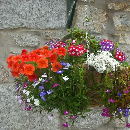Gadles Farm Cottages