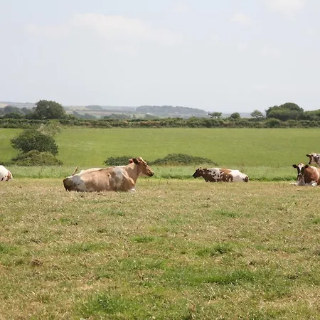 Gadles Farm Cottages Truro