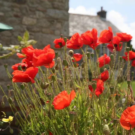 Holiday home Gadles Farm Cottages